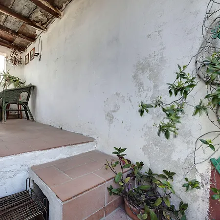 Panoramic Terrace